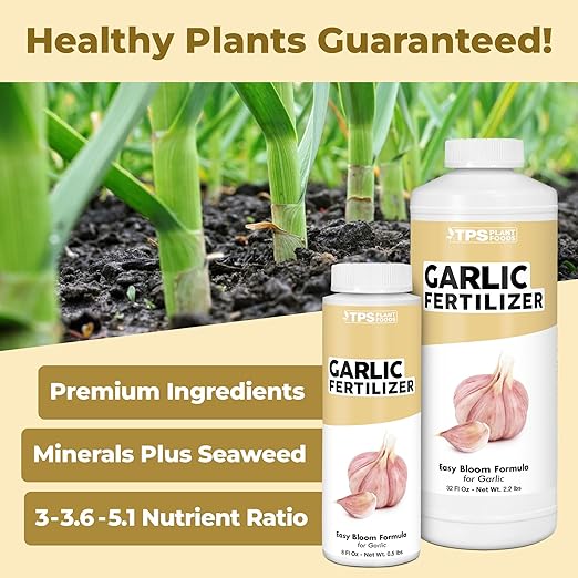 Garlic Fertilizer – Liquid Plant Food for Bigger Bulbs & Strong Root Development, 8 oz
