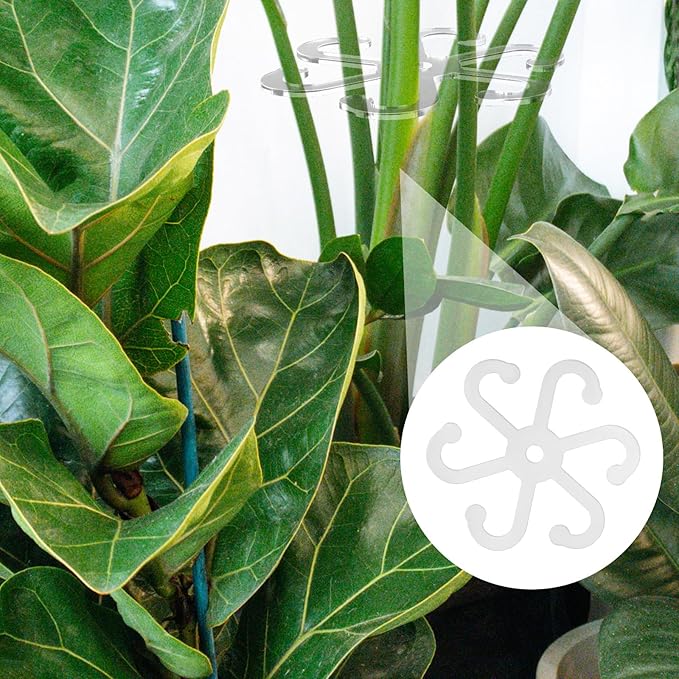 BOXOB 6pcs Climbing Plant Stem Supports, 2 Sizes Acrylic Houseplant Stem Holder with Holes Reusable Plant Stand Stakes Trellis Stem Hook Growth Accessories for Plants (Transparent)