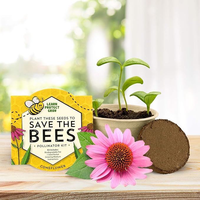 BUZZY Seeds 12 Pack Save The Bees Wildflower Grow Kits – 12 Biodegradable Pots with an Assortment of Coneflower, Zinnia, Daisy, Cosmos Seeds, Pollinator Garden Starter, Sustainable Party Favors