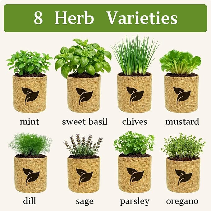 Organic Indoor Herb Garden Start Kit - Unique Gifts for Women, Valentine's Day Gift, Easy House Plant- Birthday for Women,House Warming Gift New Home- Fresh Herb Garden DIY Crafts for Adults