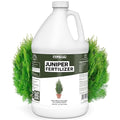 Juniper Fertilizer – Liquid Plant Food for Dense Growth, Rich Green Color & Stronger Root Development, 1 Gallon