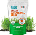 Back to The Roots Organic Wheatgrass Seeds – 2lb Non-GMO Value Pack; Great for Growing Nutritious Wheatgrass, Also Catgrass (Natural Hairball Remedy for Cats)