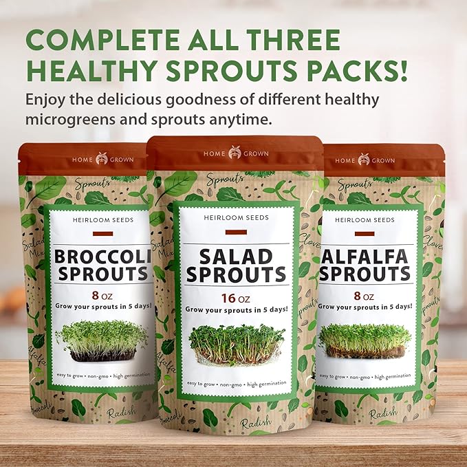 HOME GROWN Broccoli Seeds 8 oz - for Sprouting or Microgreens High Germination Sprout Seeds Nutritious Micro Greens - Broccoli Sprouts in 5 Days - Sulforaphane Rich