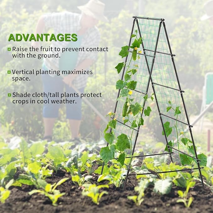 Garden Trellis for Climbing Plants, 71" H x 32" W Metal A-Frame Cucumber Trellis Outdoor Fruits Watermelon Plants Vegetable Tomato Squash Peas Beans, with Netting, Black
