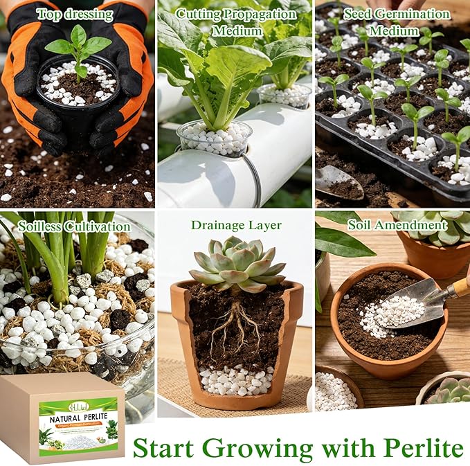 Halatool Soil Amendment 2QT Perlite for Plants Gardening Indoor Natural Potting Soil Mix Additive for Holding Moisture Aeration Drainage