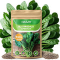 Bloomsdale Spinach Seeds for Planting 960+ Seeds - Non-GMO Heirloom Seeds High Germination Spinach for Indoor Outdoor Home Vegetable Garden - Abundance of Leafy Greens