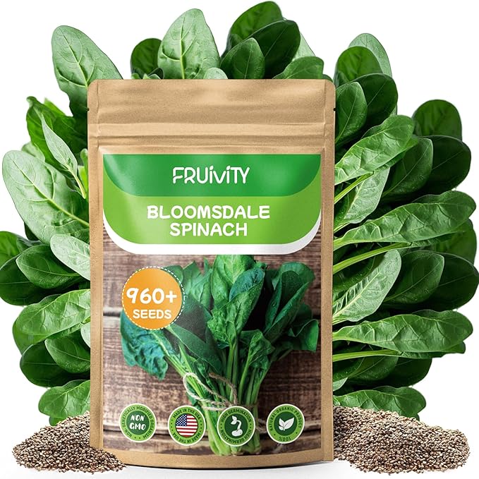 Bloomsdale Spinach Seeds for Planting 960+ Seeds - Non-GMO Heirloom Seeds High Germination Spinach for Indoor Outdoor Home Vegetable Garden - Abundance of Leafy Greens