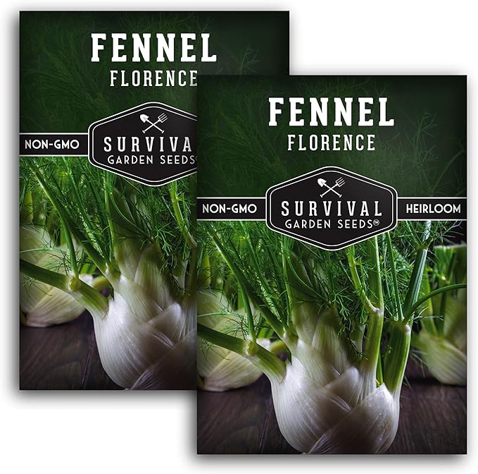 Fennel Seed for Planting - 2 Packets with Instructions to Grow Cool-Weather Florence Fennel (Finnochio) in Your Home Vegetable Garden - Non-GMO Heirloom Variety - Survival Garden Seeds