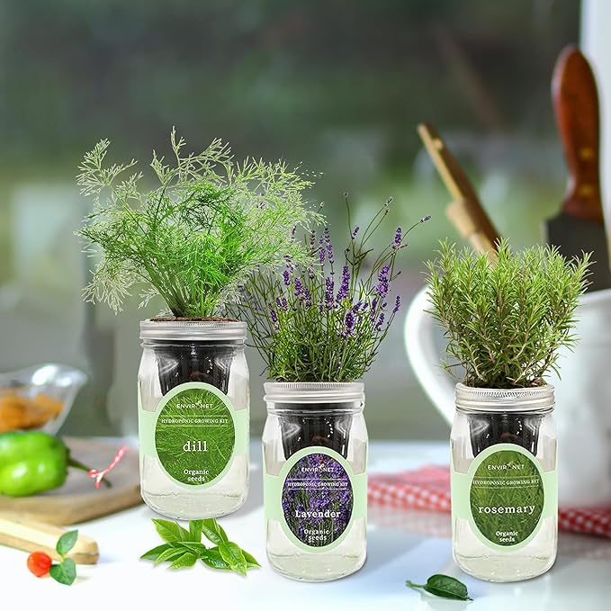 Hydroponic Herb Growing Kit Set, Self-Watering Mason Jar Herb Garden Starter Kit Indoor, New Christmas Gift for Mom (Dill, Lavender & Rosemary)
