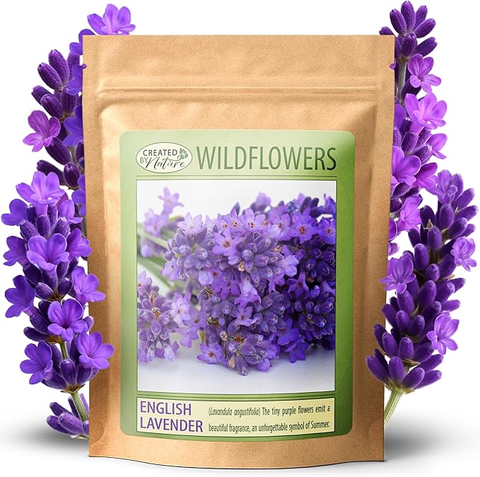 Created By Nature English Lavender Seeds, 3,000 Purple Perennial Wildflower Seeds