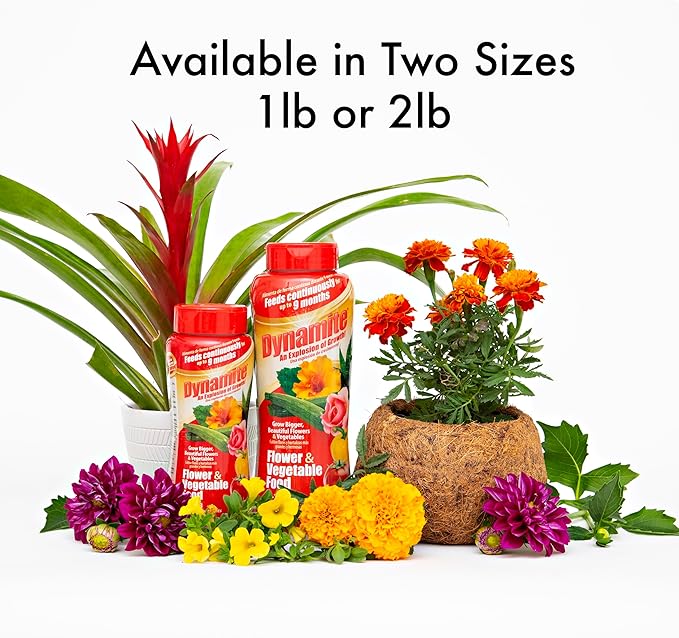 Dynamite Complete Plant Food Flower & Vegetable1 lb