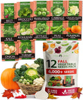 HOME GROWN 12 Fall Vegetable Seeds 6,000+ Heirloom Seeds for Fall & Winter Planting – Beets, Broccoli, Cabbage, Kale, Onion, Pumpkin, Turnip, Lettuce, Peas & More for Home Garden