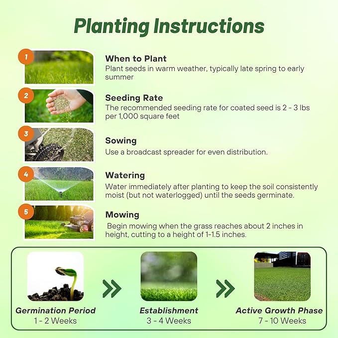 Outsidepride Rescape Seashore Paspalum Turf Grass Seed - 1 lb. Warm Season, Salt & Drought Tolerant Dense Lawn Grass Seed, Perfect for Erosion Control, High Traffic Fields, Beaches, & Coastal Areas