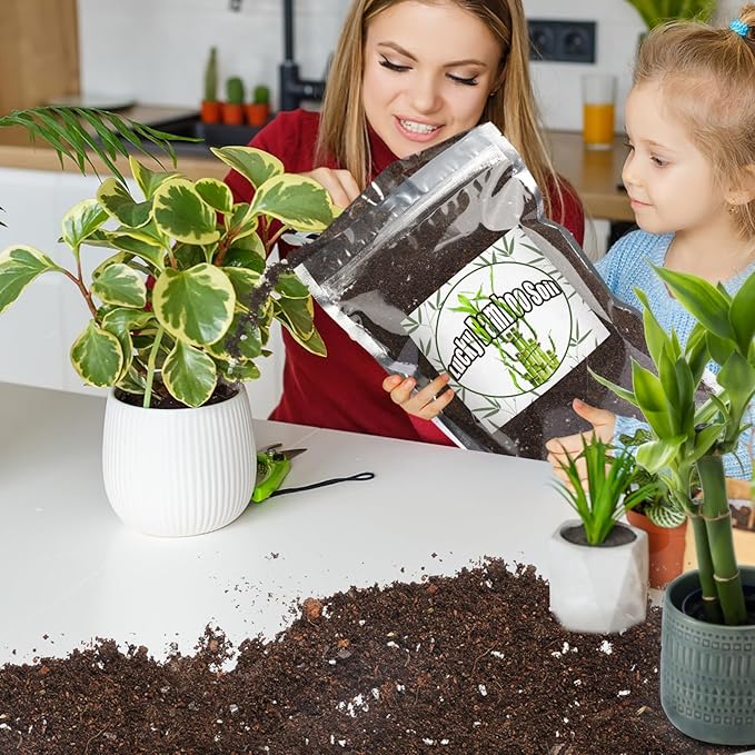 Premium Lucky Bamboo Soil Mix 1qt, Indoor Plants Potting Mix for All Potted Luncky Bamboo, Promote Healthy Growth and Longevity
