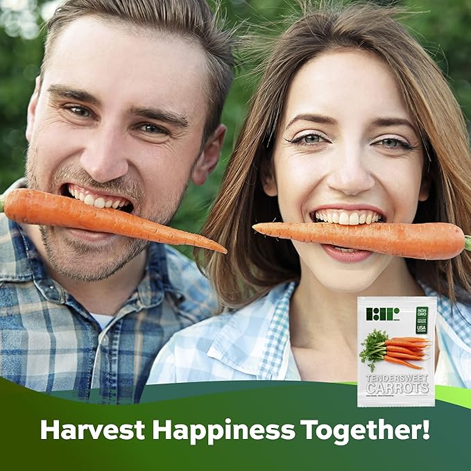 1000 Tendersweet Carrot Seeds for Planting - Heirloom, Non-GMO, USA Grown - by RDR Seeds