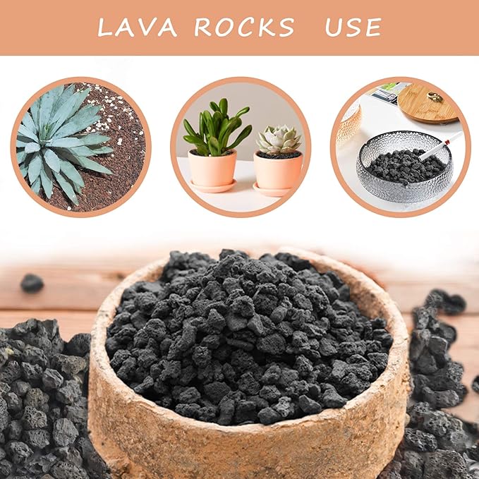 Black Lava Rocks for Plants -100% Pure Volcanic Rock No Dyes or Chemicals-Best Lava Stones Top Dressing for Cacti Succulents Plants,Bonsai