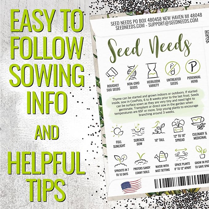 Seed Needs Thyme Seeds for Planting - Non-GMO Heirloom & Untreated Perennial Herb Seed to Plant a Culinary Kitchen Garden Indoors or Outdoors (2 Packs)