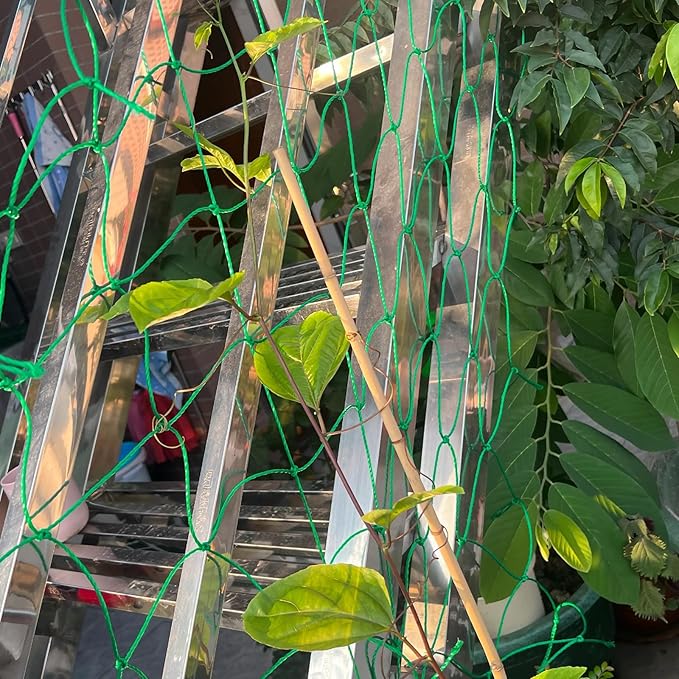 27 Strands Nylon Trellis Netting, Versatile Garden Support Netting, 32.8' x 6.6' for Climbing Plants, Ideal for Vegetables, Fruits, and Vines, Perfect for Home and Garden Use
