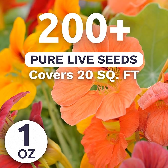 Nasturtium Tip Top Mix – Large 1 Ounce Packet – 200 Flower Seeds for Planting – Tropaeolum majus