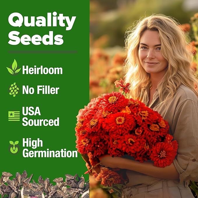 HOME GROWN Will Rogers Zinnia Seeds - 300 Zinnia Flower Seeds for Planting Outdoors - Tall Zinnia Elegans Cut Flowers - Heirloom Non-GMO Zinnia Seeds for 2026 (Zinnia Elegans)