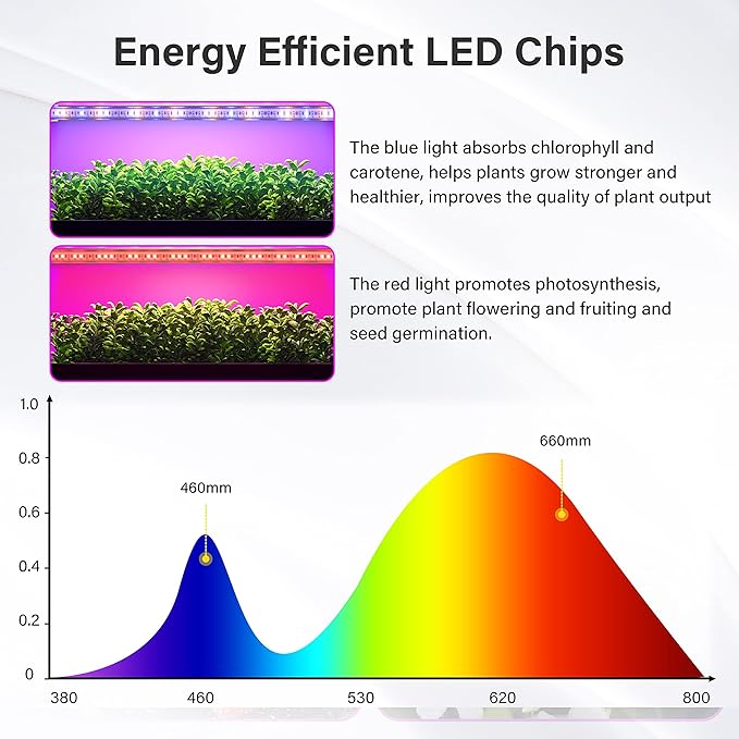 iPower 20W LED Plant Grow Light Strips Full Spectrum for Indoor Plants with Auto ON/Off 3/9/12H Timer, 10 Dimmable Levels 48 LEDs Per Tude, for Hydroponics Succulent, 4 Tubes*2, Red&Blue