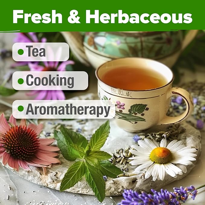 HOME GROWN Medicinal Herb Seeds Vault – 2,000+ Seeds, 6 Non GMO Heirloom Varieties for Indoor & Outdoor Garden – Lavender, Chamomile,Mint,Lemon Balm,Peppermint,Echinacea +Garden Markers