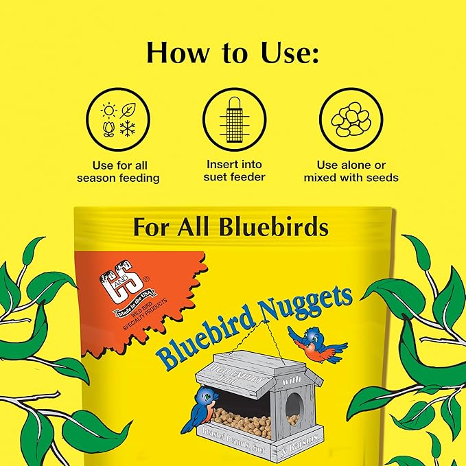 C&S Wild Bird Bluebird Suet Nuggets Mega Box, 8 Pounds