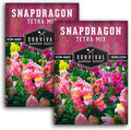 Survival Garden Seeds - Snapdragon Tetra Mix Seed for Planting - 2 Packs with Instructions to Plant and Grow Beautiful Colorful Flowers in Your Home Vegetable Garden - Non-GMO Heirloom Variety