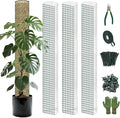 Metal Moss Poles for Climbing Plants, D-Shape Sphagnum Moss Pole Monstera Plant Support for Climbing Plants, DIY Plant Stakes Work with Sphagnum Moss (12ft D-Shaped Clear)