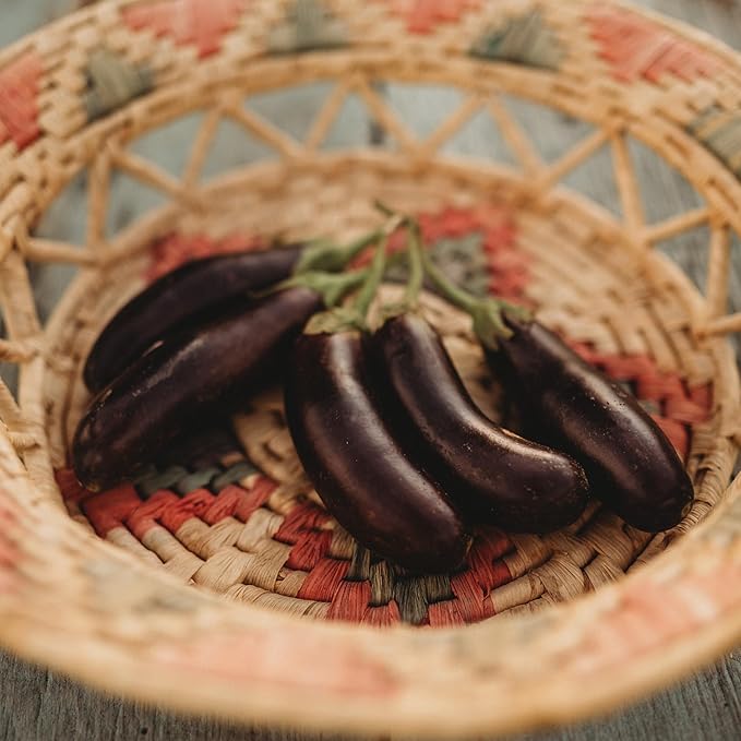 Little Fingers Eggplant - 50 Seeds - Heirloom & Open-Pollinated Variety, Non-GMO Vegetable Seeds for Planting Indoors or Outdoors in Containers or The Home Garden, Thresh Seed Company