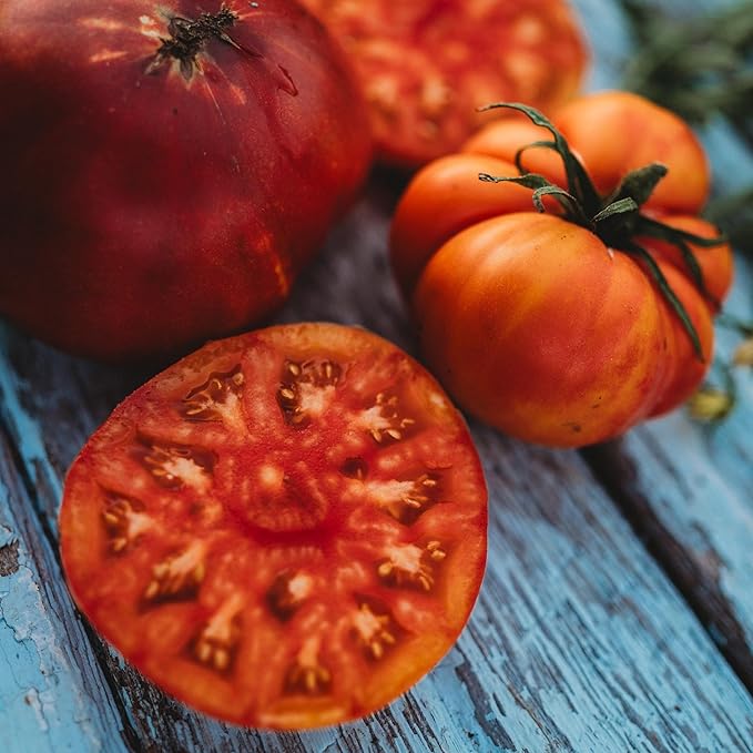Big Rainbow Tomato - 50 Seeds - Non-GMO, Popular Heirloom Tomato, Exceptionally Sweet, Perfect for Slicing, Non-GMO, Heirloom Yellow Tomato Seeds for Planting in The Home Garden, Thresh Seed Company