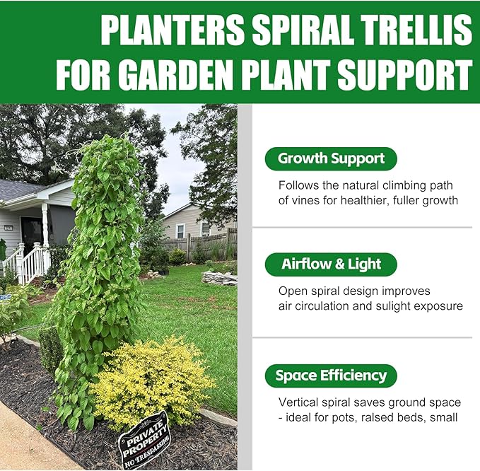 2 Pack Spiral Trellis for Climbing Plants Outdoor, 45 Inch Tall Heavy Duty Metal Garden Tower, Decorative Plant Support with Anti-Tip Stake,Rustproof for Clematis Pole Beans Cucumber Berry Vines Pots