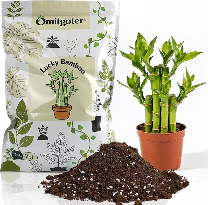 Pure Natural Potting Soil for Lucky Bamboo Plants 4qt- Superior Drainage & Breathability, Ideal Indoor Plant Soil