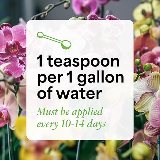 Grow More All Purpose Orchid Fertilizer 20-20-20 for Soil Maintenence Year Round - 10oz of Water Soluble Orchid Food Fertilizer - Plant Food for Healthy Growth & Vibrant Blooms