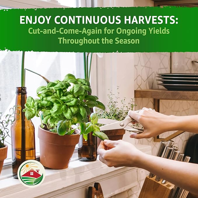 TKE Farms & Gardens - Genovese Basil Seeds for Planting, 600+ Heirloom Non-GMO Italian Basil Seeds, Sweet Culinary Herb, Grow Indoors or Outdoors, Delicious Basil Plants, Instructions Included