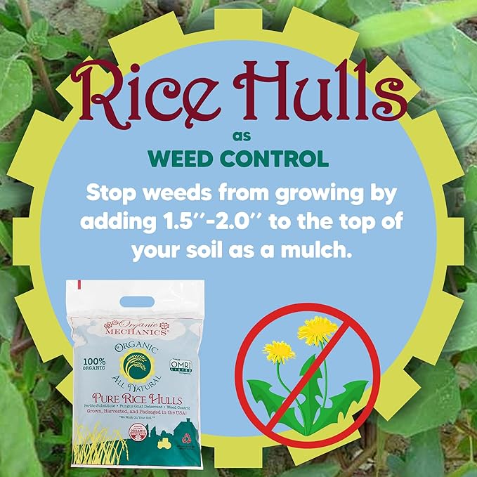 Organic Mechanics Pure Rice Hulls, 8 qt (Pack of 4) - Sustainable Alternative to Perlite - Enhances Drainage, Porosity and Air Space - Eco-Friendly