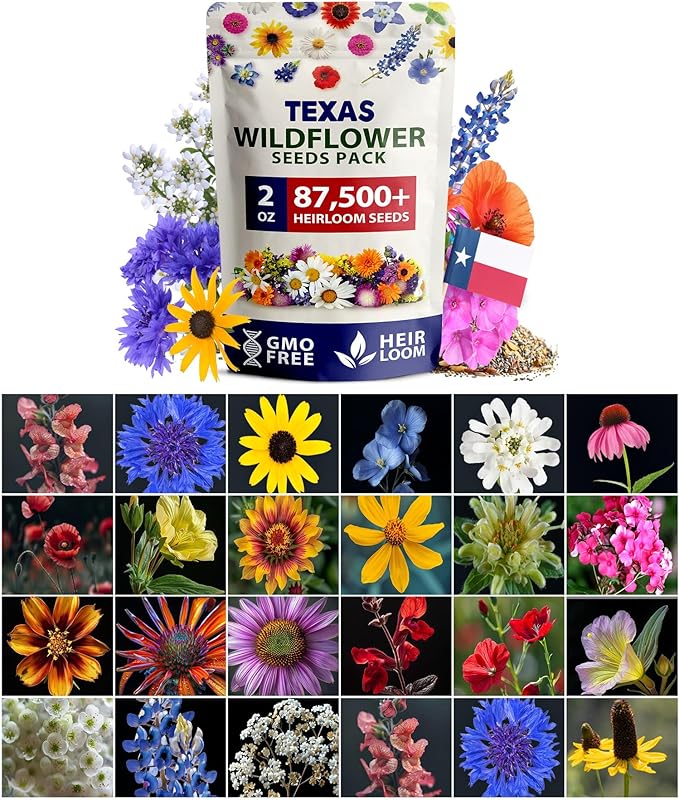 HOME GROWN Texas Wildflower Seeds 87,500+ Non-GMO Perennial Wildflower Seeds Mix for Attracting Bees, Birds & Butterflies - 22 Varieties Bulk Wild Flower Seed Mix for Full Sun & Shade Gardens (2 oz)