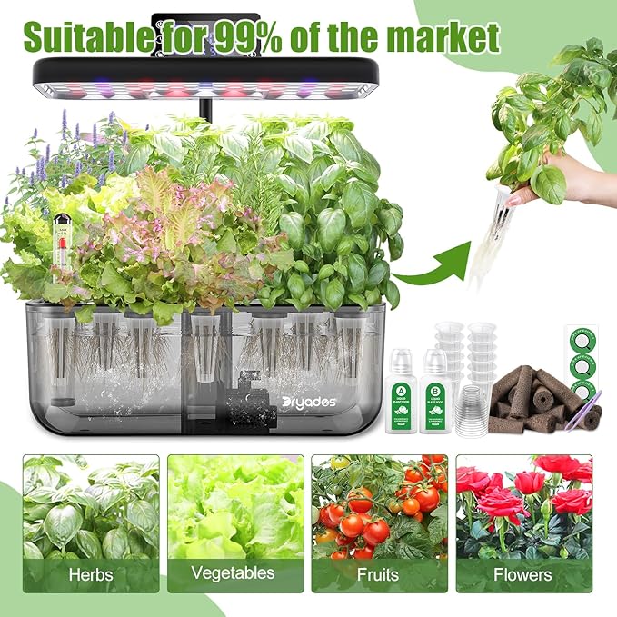 Salad Seed Pods, 12 Pods Grow Anything Kit for All Hydroponics Growing Systems with 300mg Varity Seeds of Buttercrunch, Black Seeded Simpson, Oakleaf, Prizehead, Red Salad Bowl and so on