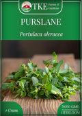 TKE Farms & Gardens Purslane Seeds for Planting - 1 Gram Packet, 2000+ Non-GMO Heirloom Seeds, High Germination, Edible & Medicinal, Heat & Drought-Tolerant, Easy-to-Grow Ground Cover, Qty 1