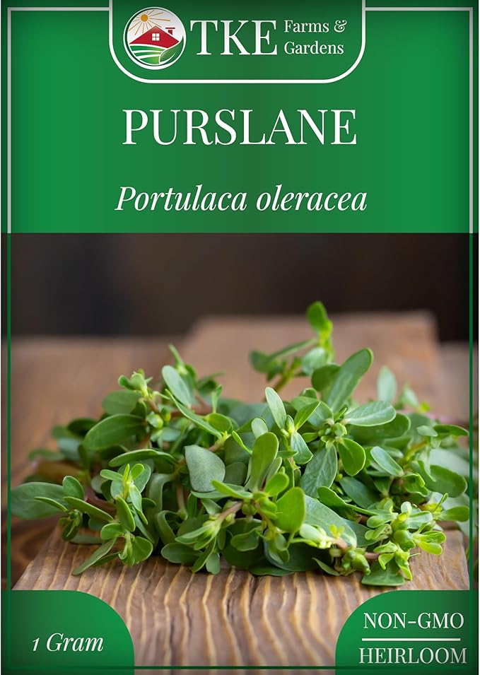 TKE Farms & Gardens Purslane Seeds for Planting - 1 Gram Packet, 2000+ Non-GMO Heirloom Seeds, High Germination, Edible & Medicinal, Heat & Drought-Tolerant, Easy-to-Grow Ground Cover, Qty 1