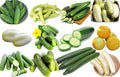 100 Cucumber Mix Seeds 12 Varieties Non-GMO Delicious and Crispy, Rare and Super Prolific, Cucumis sativus, Grown in USA