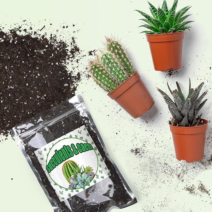 Cactus & Succulent Soil Mix 10qt, Chunky Well-Draining Soil for Indoor Plants - Spike & Bloom