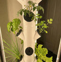 Hydroponic Plant Covers for Gardyn, Light Blocking, 12 Pack, Reusable, Dishwasher Safe