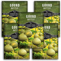 Bottle Gourd Seed for Planting - 5 Packets with Instructions to Plant & Grow Birdhouse or Calabash Gourds in Your Home Vegetable Garden - Non-GMO Heirloom Variety - Survival Garden Seeds