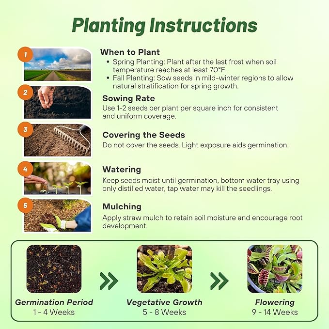 Outsidepride Venus Flytrap Seeds - 10 Pcs Perennial, Unique & Carnivorous, Indoor Plant Seeds for House Plants, Easy to Grow & Low Maintenance, Ideal for Terrariums, Pots, & Non-Winter Hardy Zones