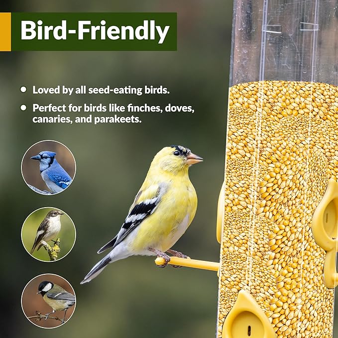 Old Potters Wildlife White Millet for Bird Feeding and Wildlife Bird attracting, Non-GMO and USA Grown, 25 lbs