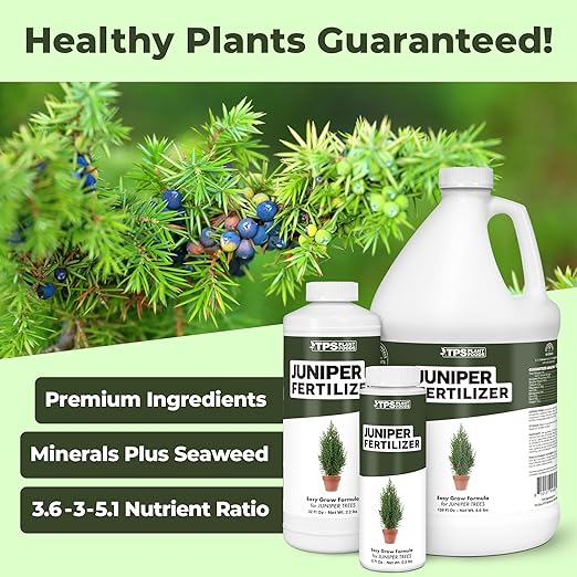 Juniper Fertilizer – Liquid Plant Food for Dense Growth, Rich Green Color & Stronger Root Development, 1 Gallon