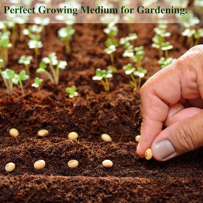 ZeeDix 1 Pack Coco Coir Brick, 100% Organic Compressed Coco Coir Brick Seed Starter Potting Soil for Plants, Premium Coconut Fiber Substrate with Low EC & pH Balance for Gardening Flower Herbs