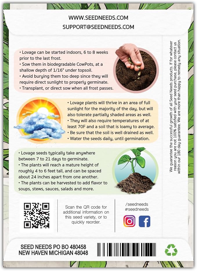 Seed Needs Lovage Seeds for Planting - Non-GMO Heirloom & Untreated Herbs to Plant a Medicinal/Culinary Home Grown Herb Garden Indoors or Outdoors (2 Packs)