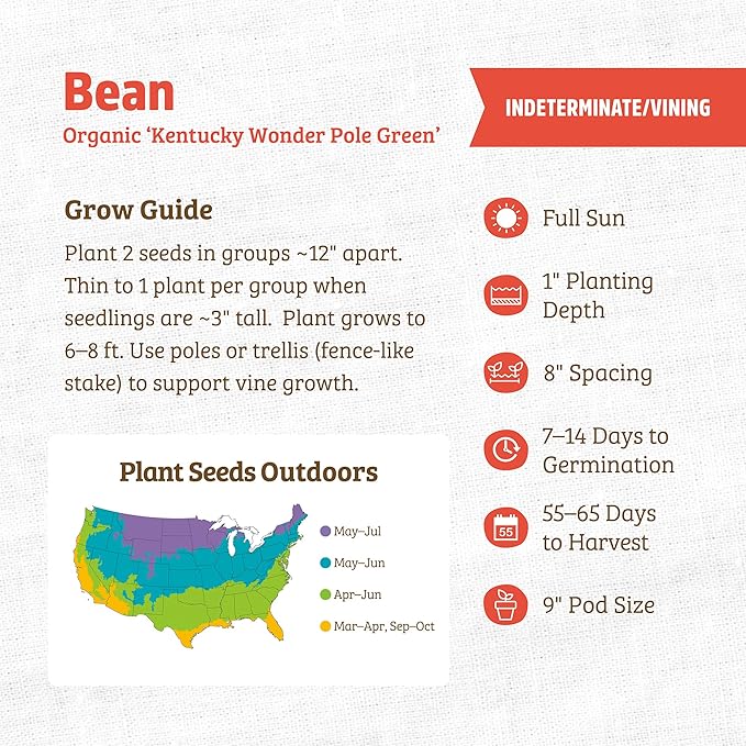 Back to the Roots 100% Organic Seed Packet - Bean 'Kentucky Wonder Pole Green' 8.4g